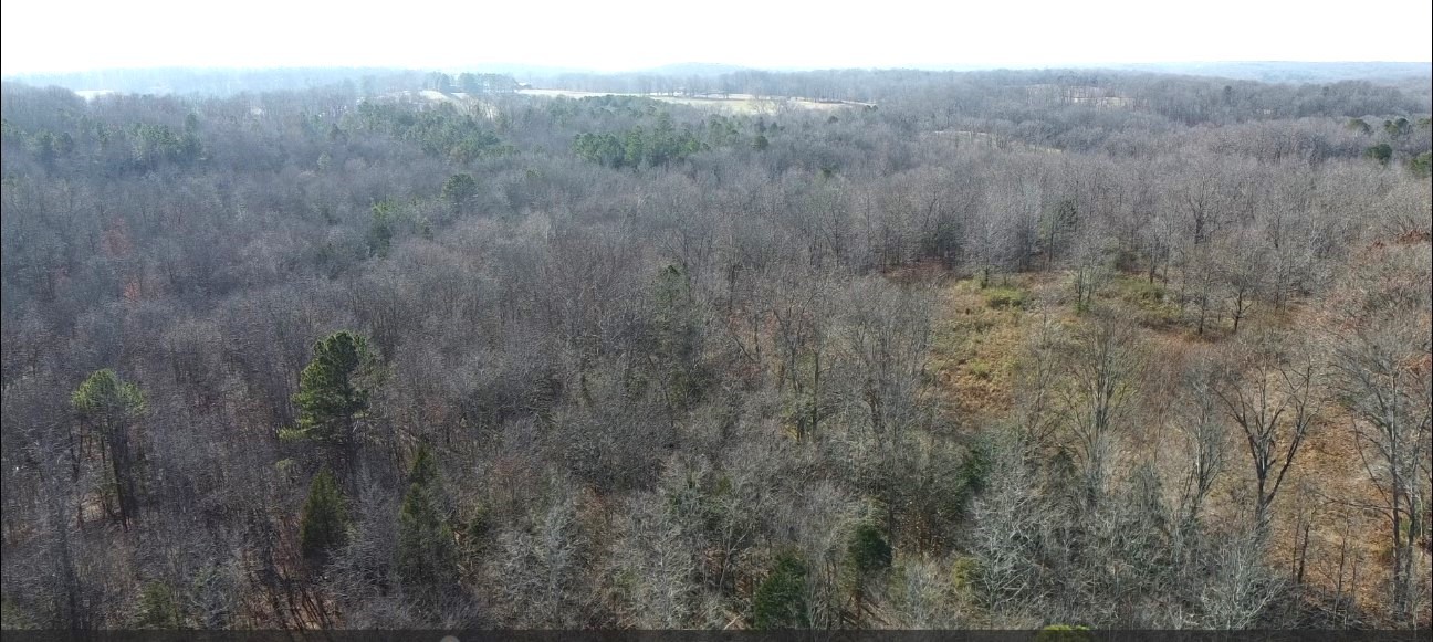 0 Northwest Piney Road Dickson, TN 37055 - Photo 21 of 23 a view of a yard with an outdoor space