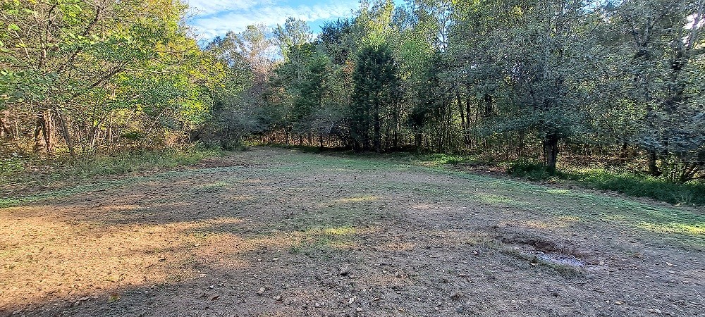 0 Northwest Piney Road Dickson, TN 37055 - Photo 22 of 23 a view of a yard with a tree