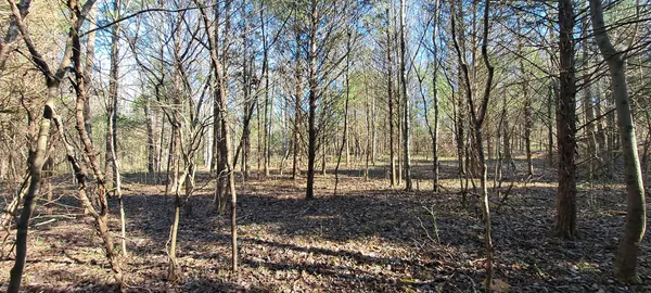 a view of outdoor space with deck