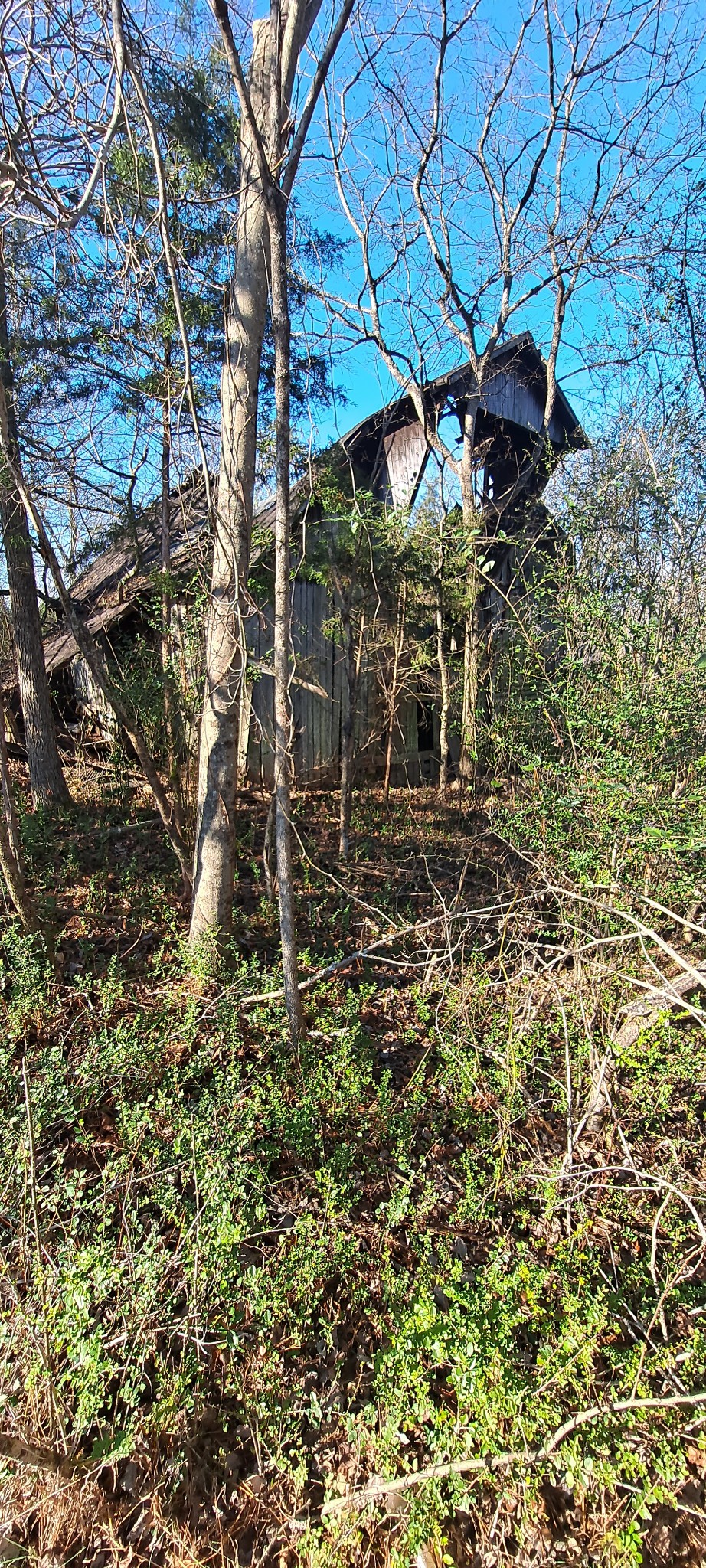 0 Northwest Piney Road Dickson, TN 37055 - Photo 8 of 23