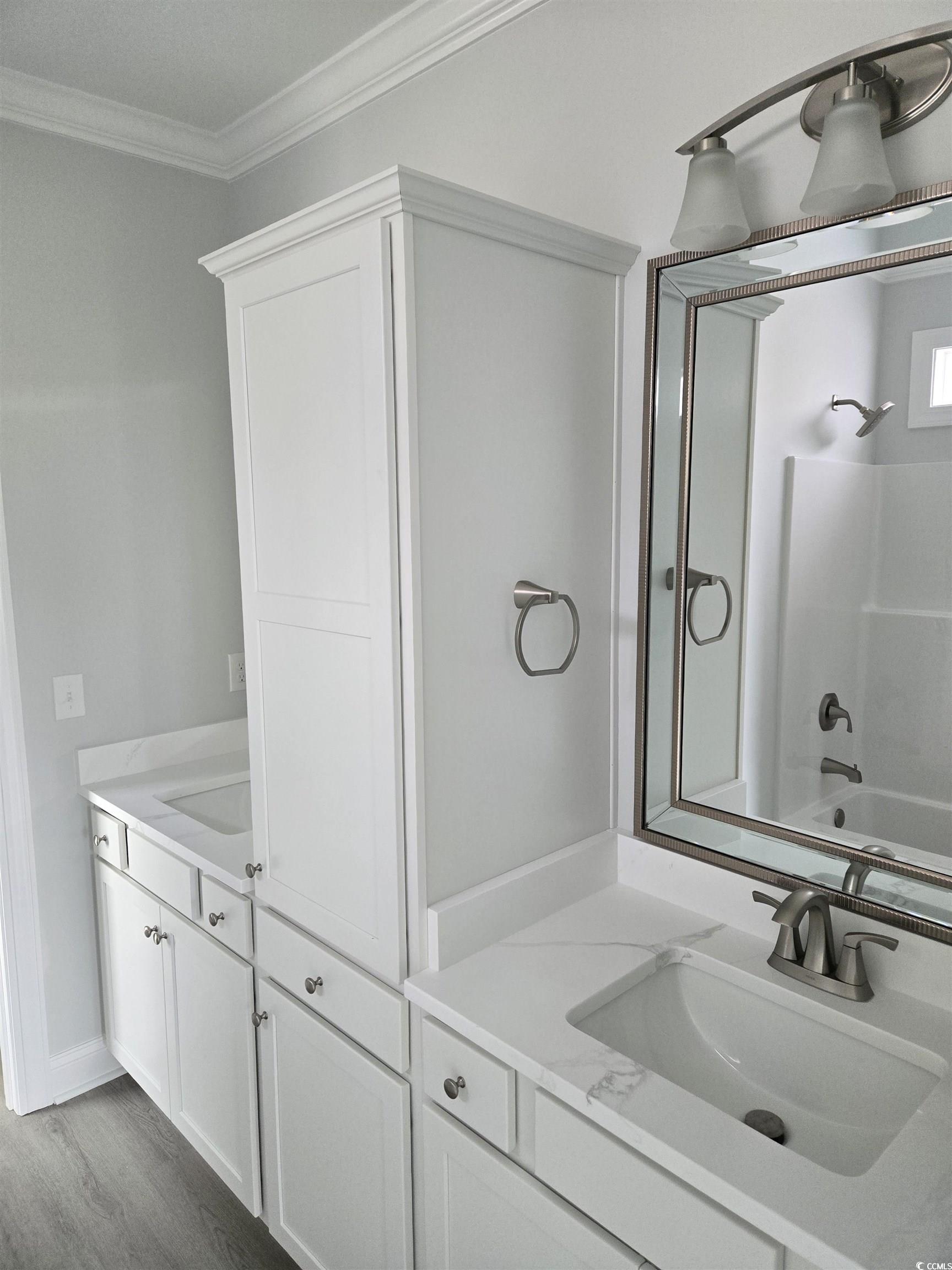 Bathroom with wood finished floors, vanity, orname