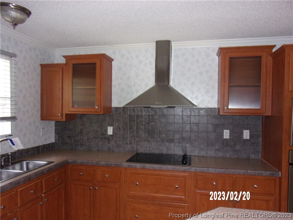 145 Box Elder Terrace Cameron, NC 28326 - Photo 4 of 17 a kitchen with a sink and cabinets