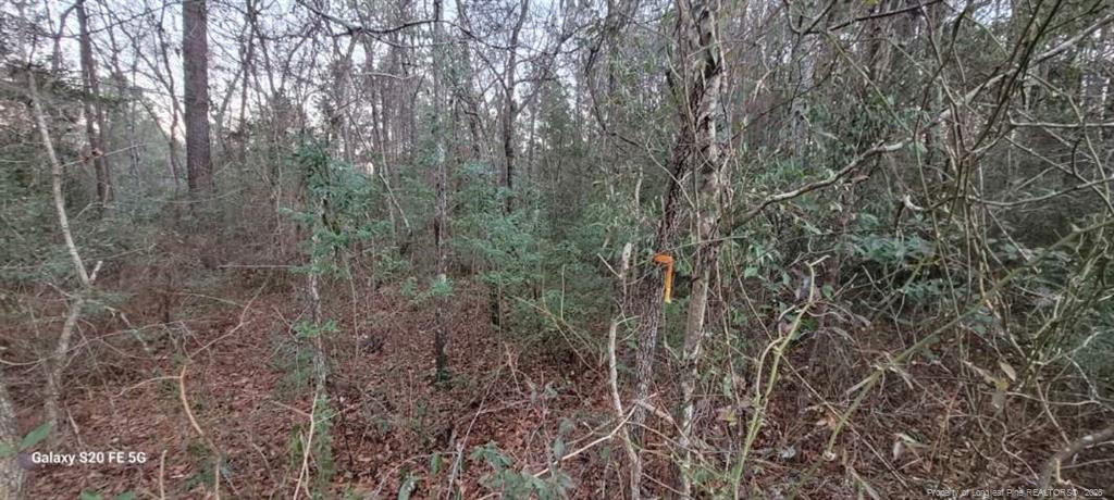 0 Melie Lee Road Fayetteville, NC 28306 - Photo 1 of 10 a view of a forest with trees in front of it