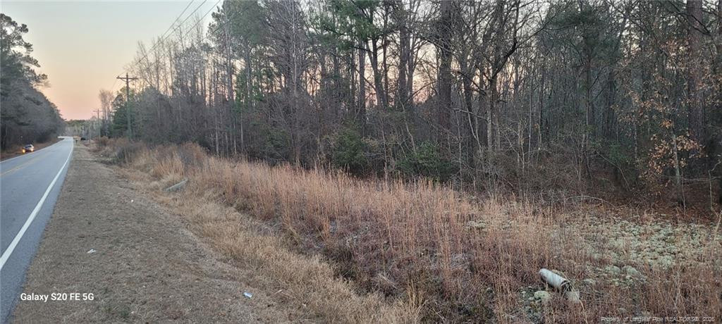 0 Melie Lee Road Fayetteville, NC 28306 - Photo 8 of 10 a view of a yard with large trees