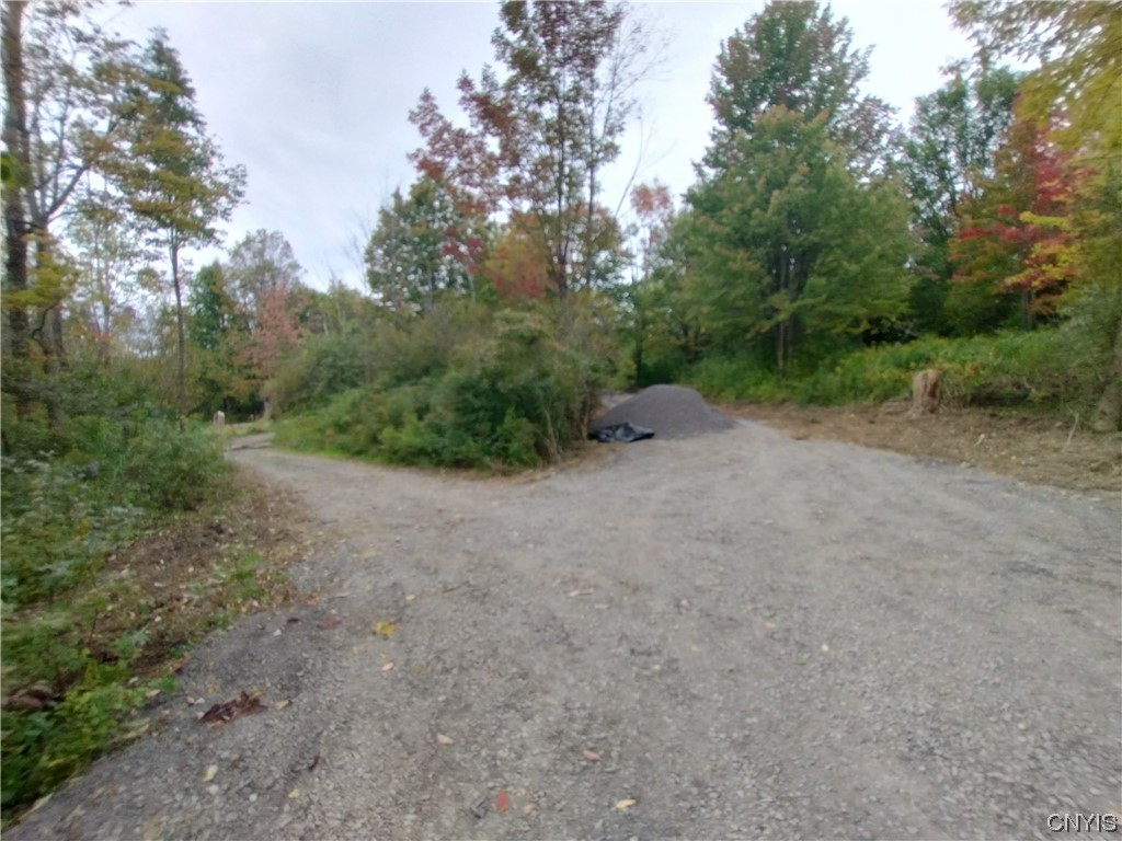 0 Cook Hill Road Newport, NY 13416 - Photo 4 of 9 Gallery Image 4