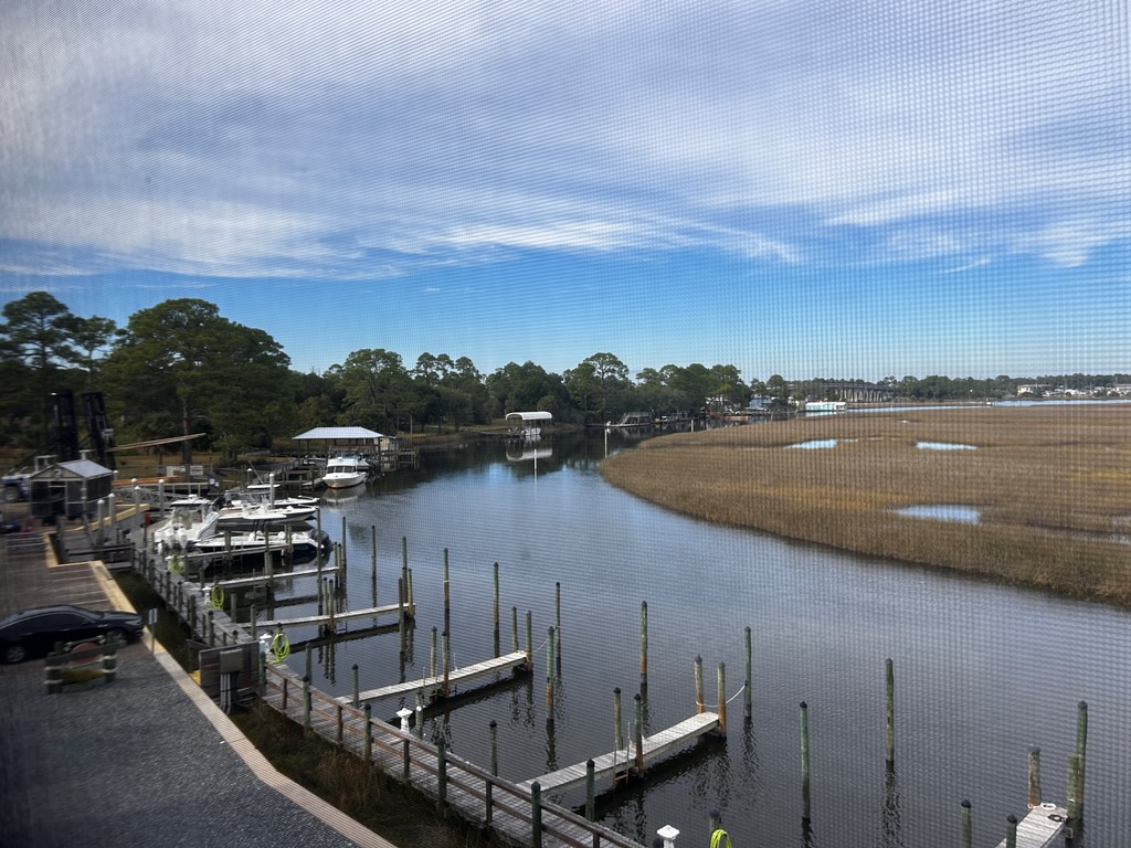 115 Timber Island Road Carrabelle, FL 32322 - Photo 6 of 23