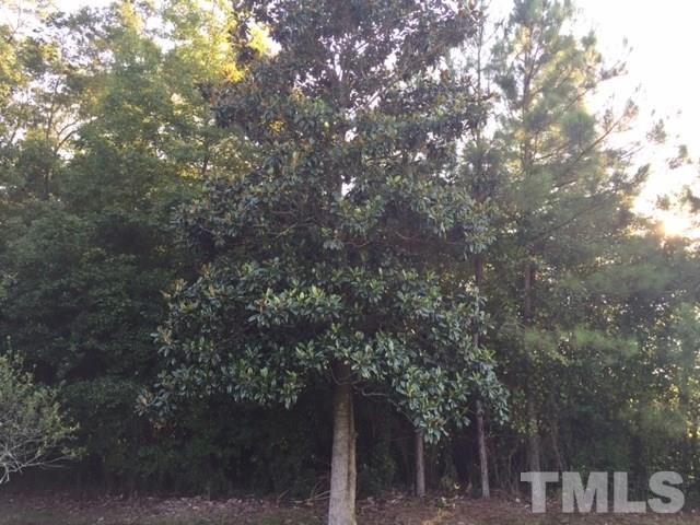 940 Cannan Road Mount Olive, NC 28365 - Photo 10 of 10 a picture of tree