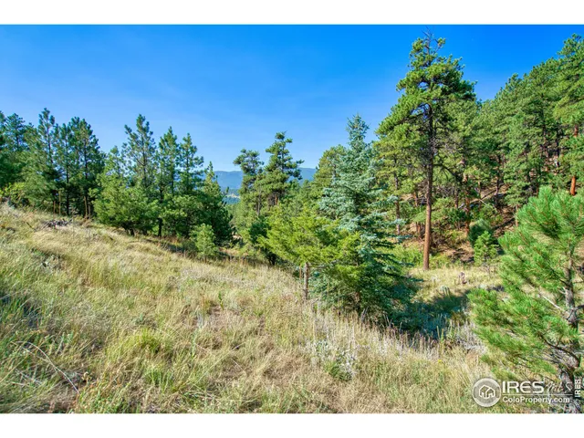a view of a green yard