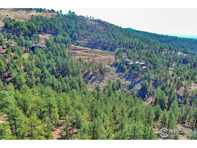 a view of a lush green forest with a mountain in the background
