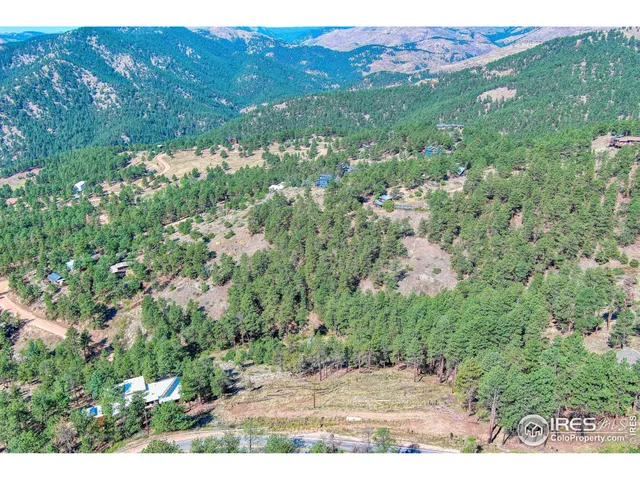a view of a lush green field with lots of bushes