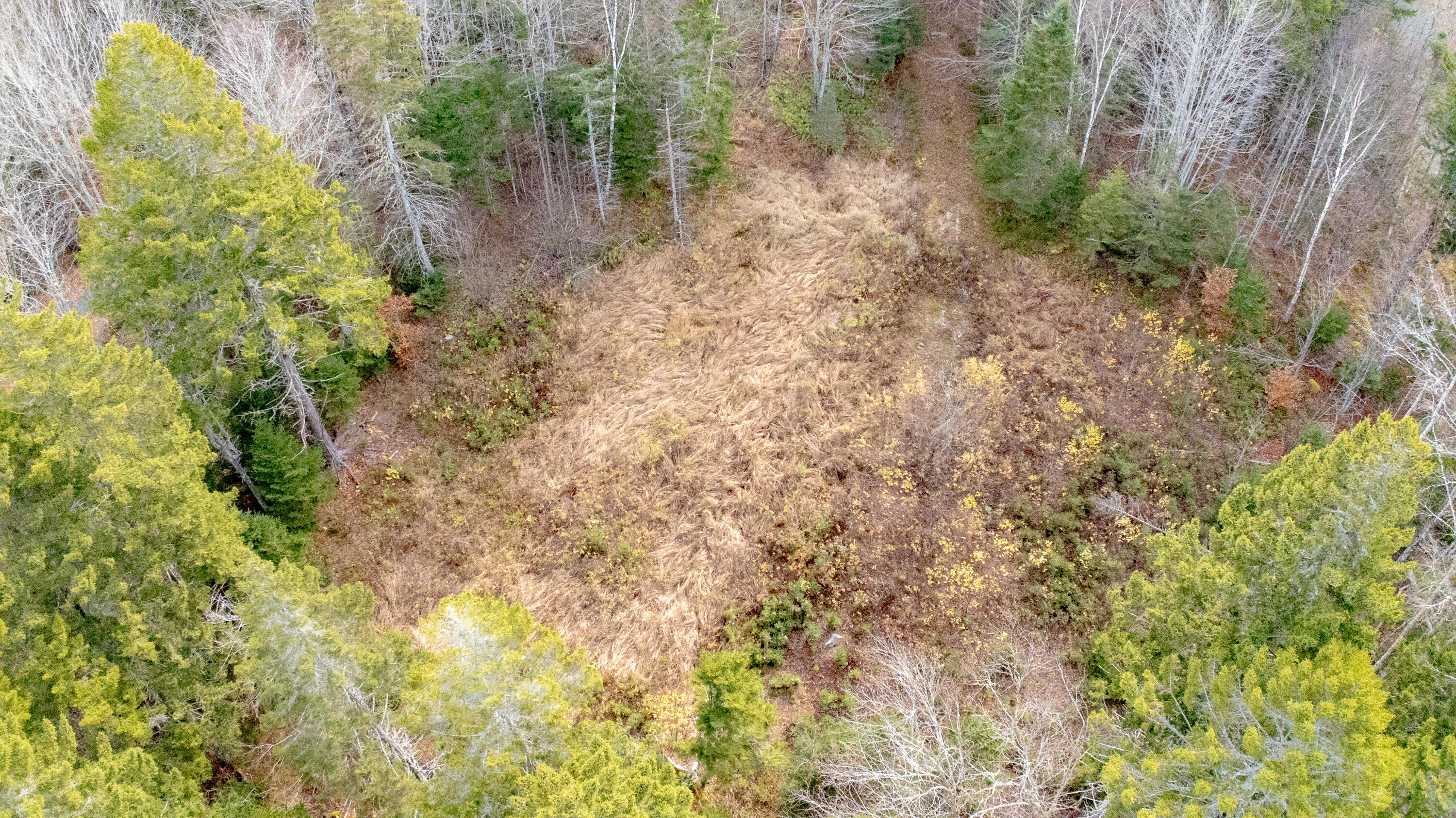 Lot 8 Sunset Way Whiting, ME 04691 - Photo 7 of 14 LOT 8 SUNSET-08