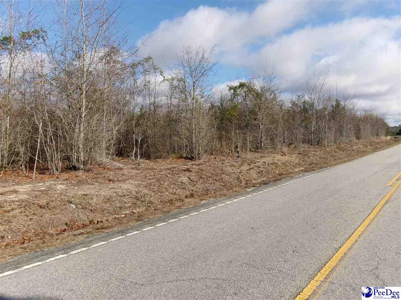 Tbd Dudley Road Marion, SC 29571 - Photo 1 of 1 Gallery Image 1