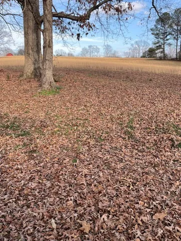 a view of yard with an trees