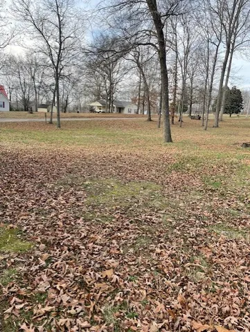 a view of yard with trees