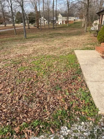 a view of yard with trees