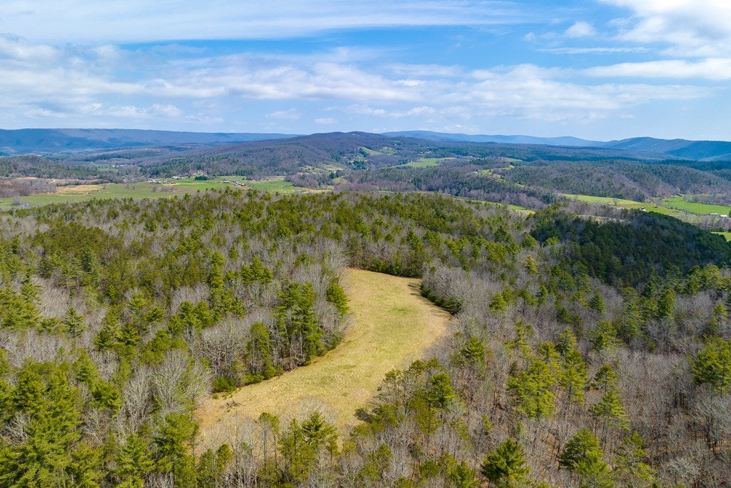 2253 Price Ridge Road Bland, VA 24315 - Photo 63 of 65 Gallery Image 63