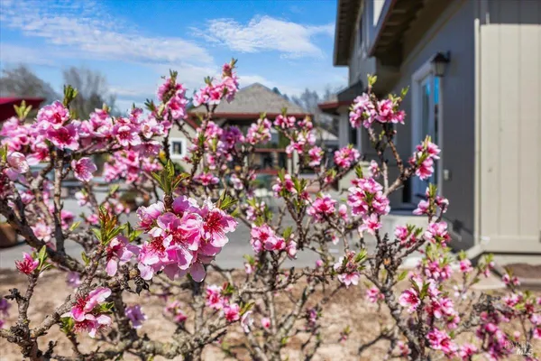 $1,495,000 | 2573 Greenvale Lane, Santa Rosa, CA 95401