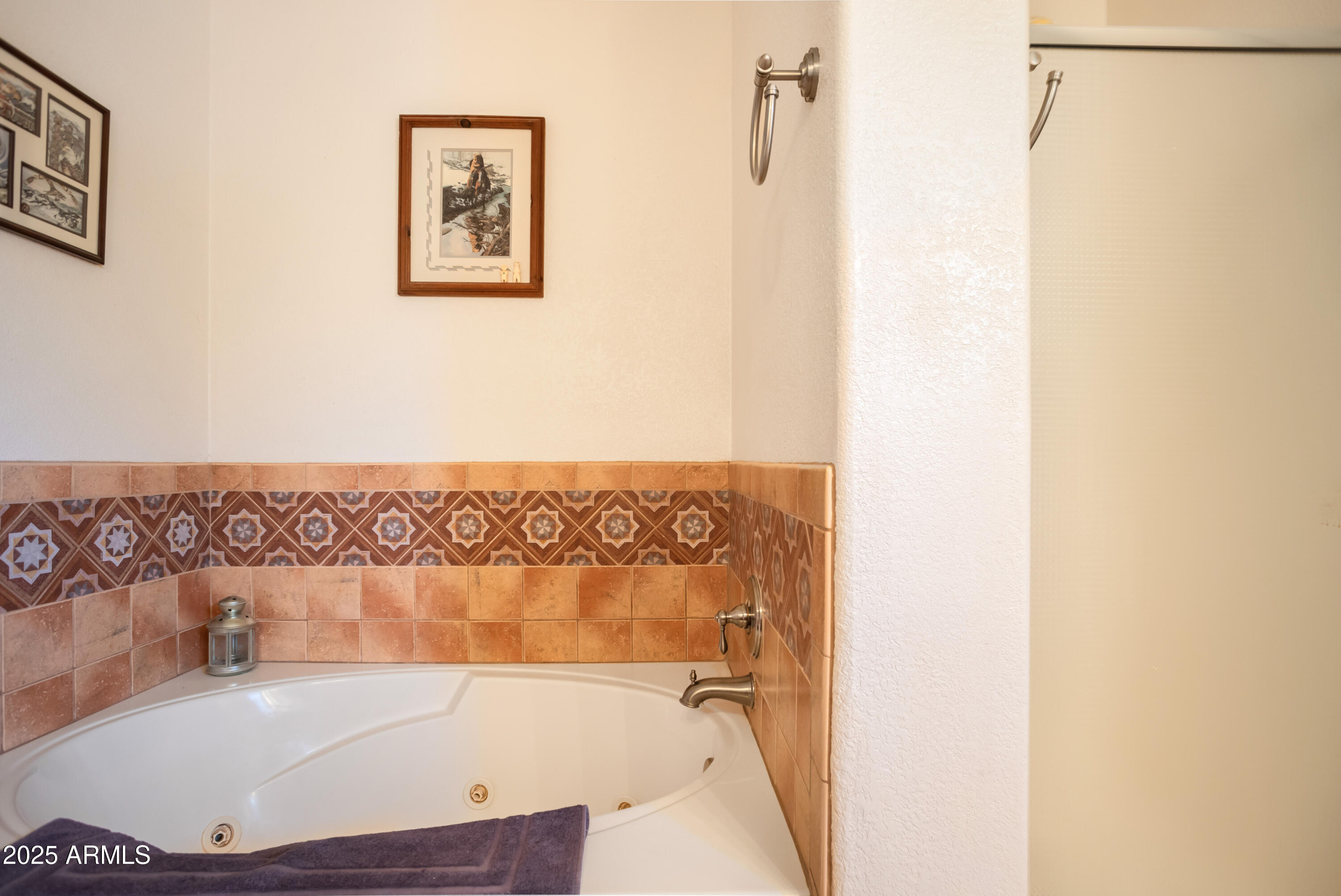 6760 South Y Lightning Ranch Road Hereford, AZ 85615 - Photo 25 of 46 Jetted Tub