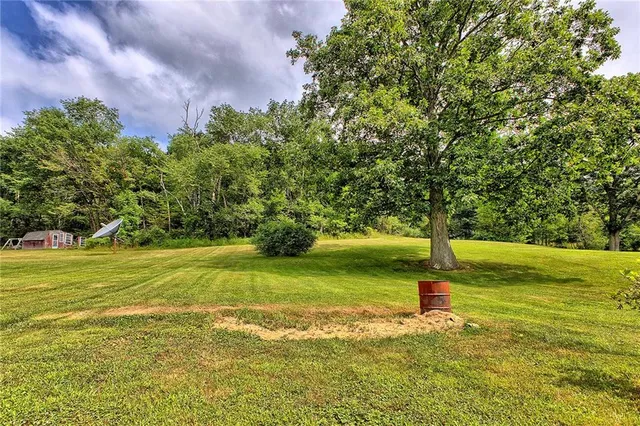 a view of a trees in a yard