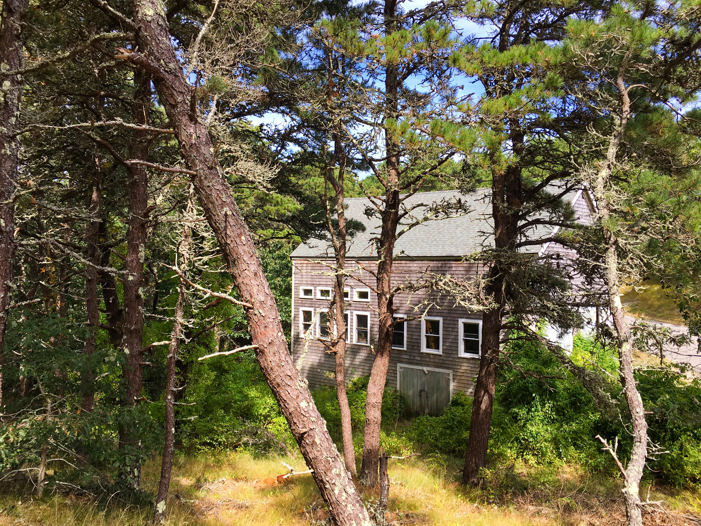 96 Castle Road Truro, MA 02666 - Photo 1 of 17 a front view of a house with a yard