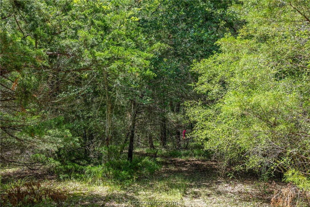 Tbd Weber Road Bryan, TX 77808 - Photo 25 of 43