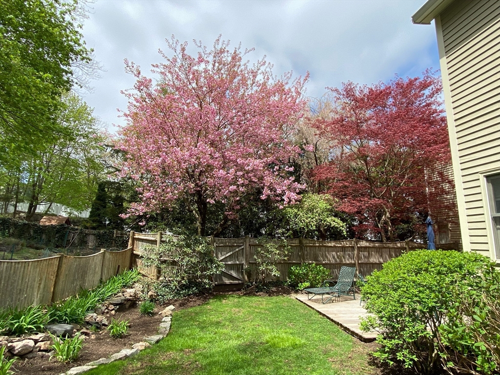 34 Pleasant Street, Unit 5 Wellesley, MA 02482 - Photo 26 of 31 a view of a garden with a lake