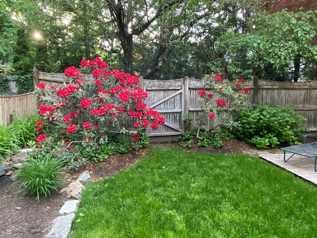 34 Pleasant Street, Unit 5 Wellesley, MA 02482 - Photo 27 of 31 a small garden covered with tall trees