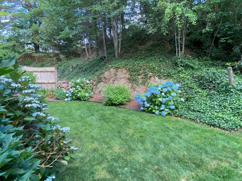 34 Pleasant Street, Unit 5 Wellesley, MA 02482 - Photo 28 of 31 a view of backyard with green space