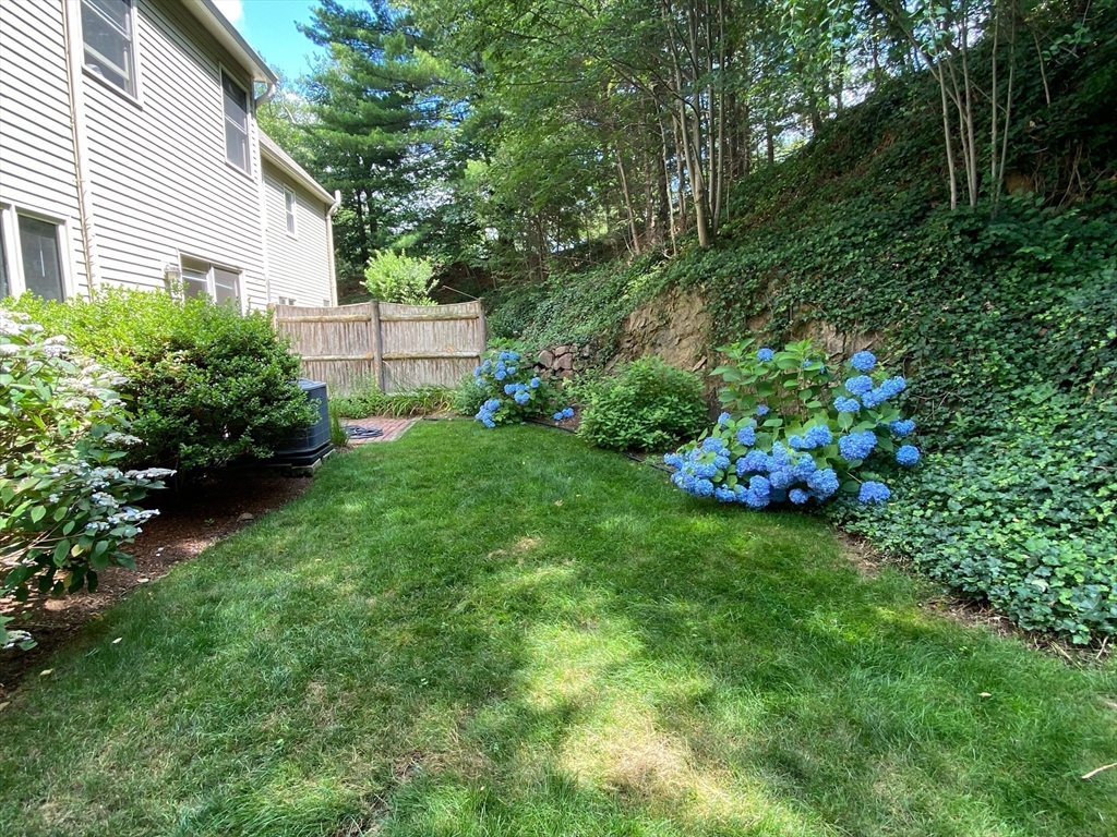 34 Pleasant Street, Unit 5 Wellesley, MA 02482 - Photo 29 of 31 a view of a garden with plants and large trees