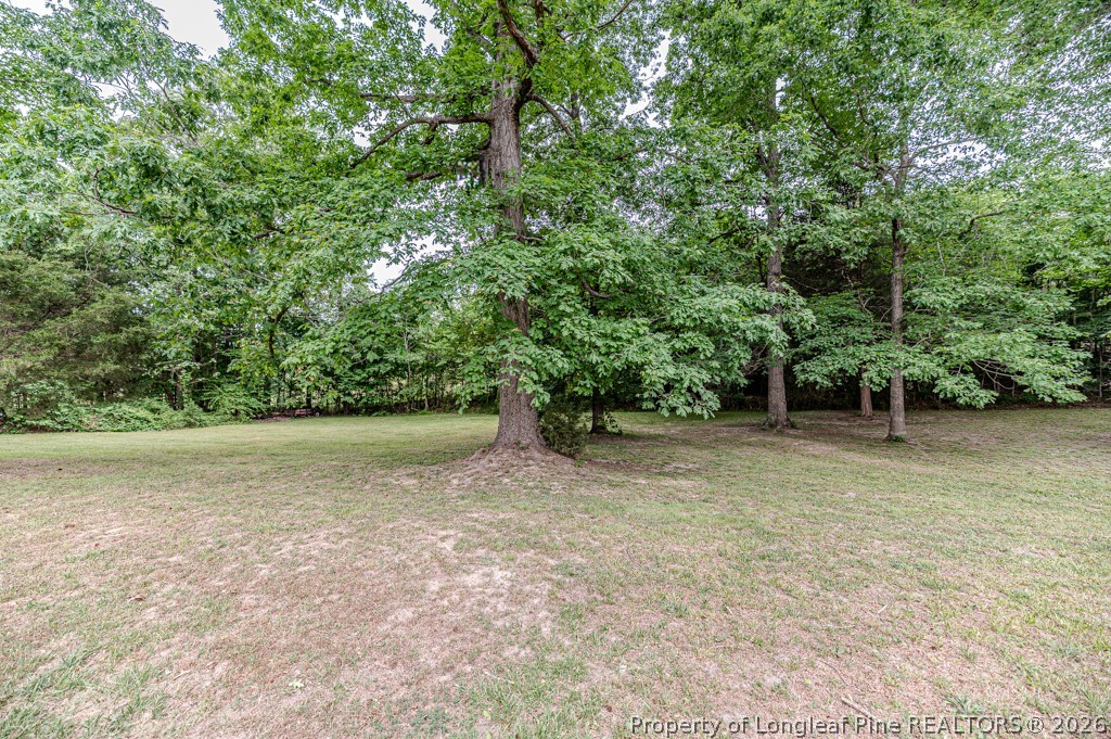 3384 Goldston Glendon Road Goldston, NC 27252 - Photo 35 of 47 a view of a yard with a tree