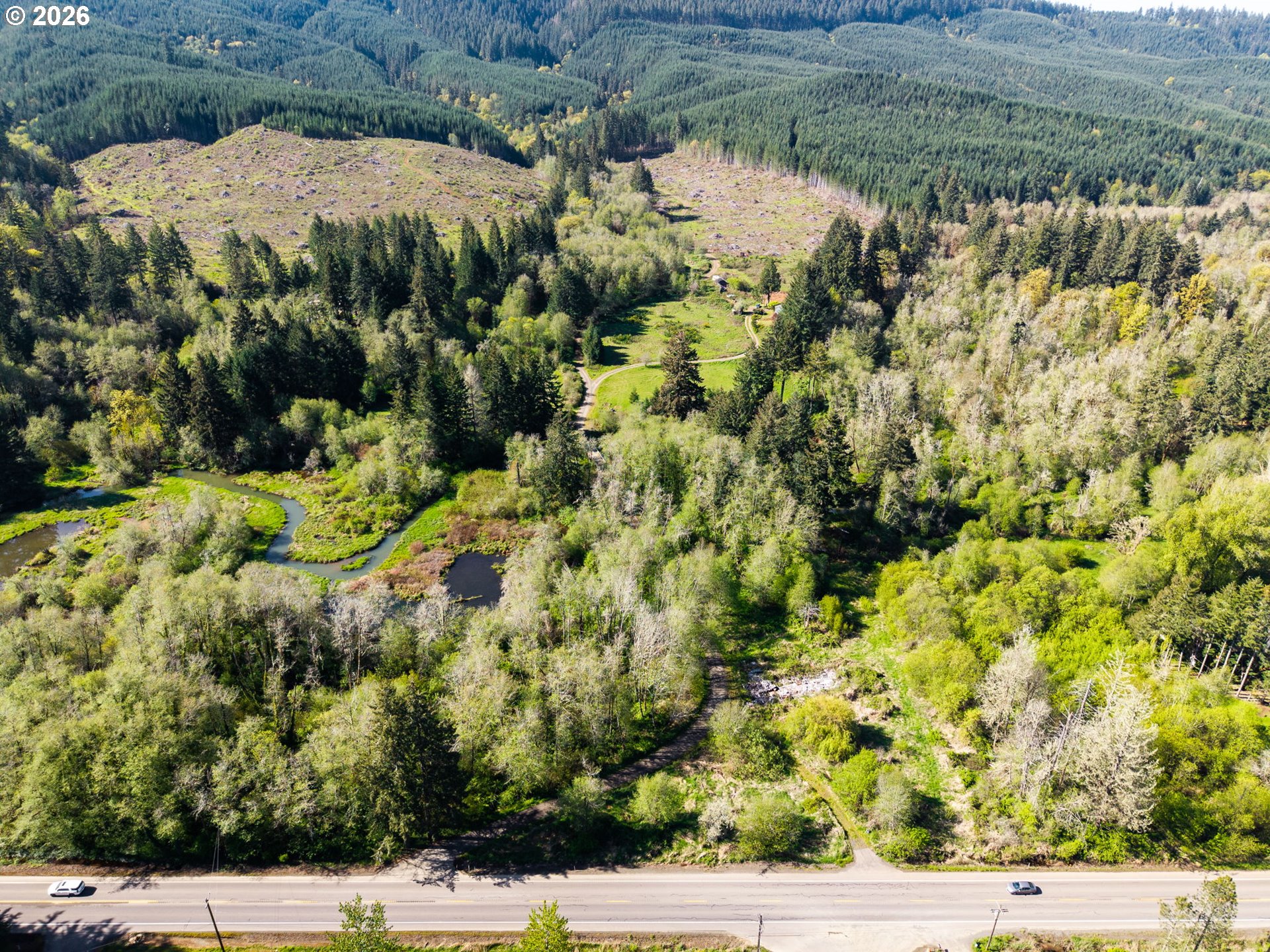 21542 Highway 126 Noti, OR 97461 - Photo 19 of 22 a view of a yard with plants