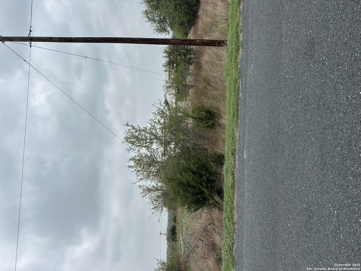 219 Roy Nichols Blanco, TX 78606 - Photo 3 of 4