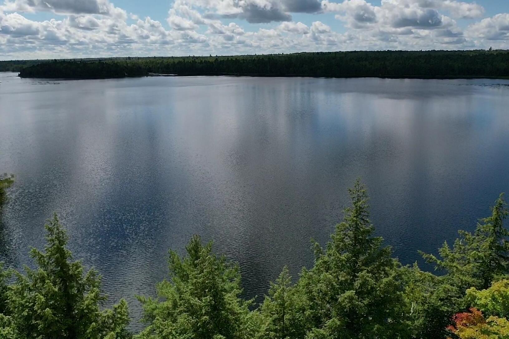 Lot 1 Barrows Lake Road Alexander, ME 04694 - Photo 13 of 15 screen_4b9902e471906997_1629826038859
