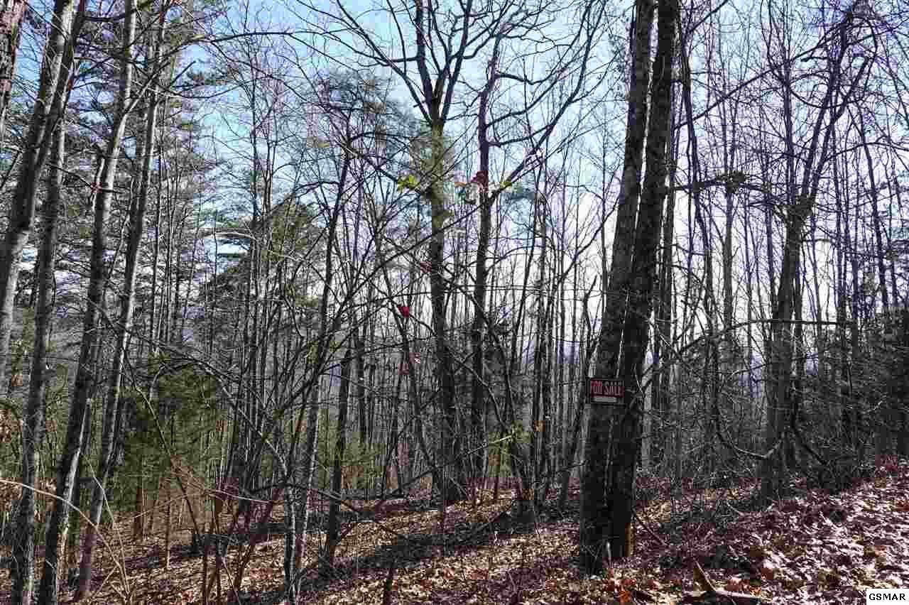 81 82a Shell Mountain Road Sevierville, TN 37876 - Photo 8 of 26