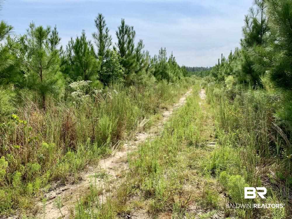 0 Country Road Mobile, AL 36608 - Photo 4 of 27