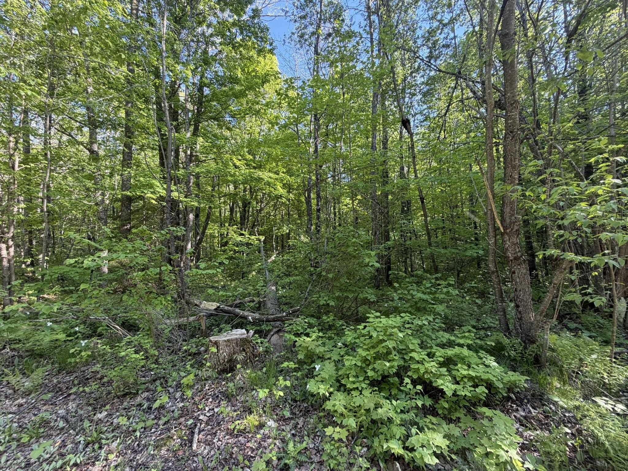 Dream Lake Road, Unit 7 Long Lake, WI 54542 - Photo 2 of 4