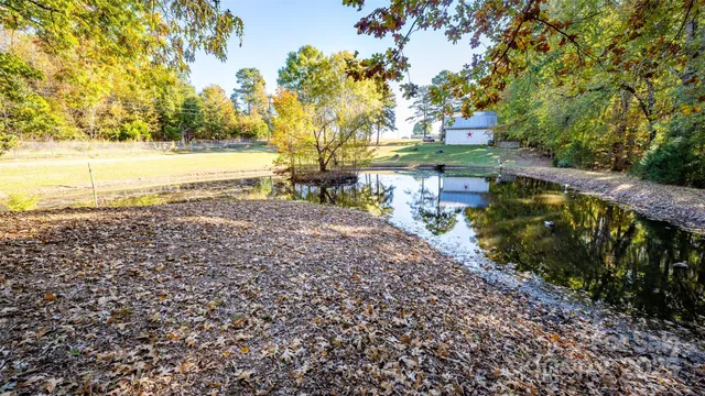 a view of an ocean and a trees