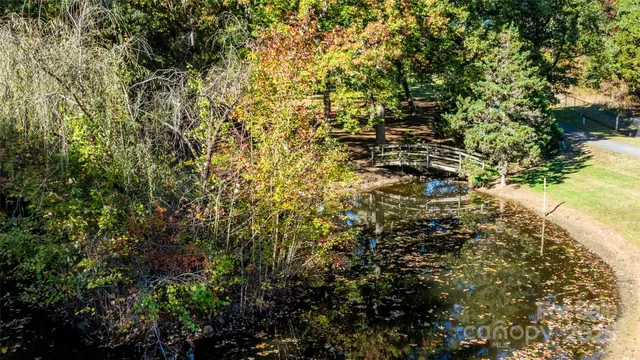 a view of a tree with a tree
