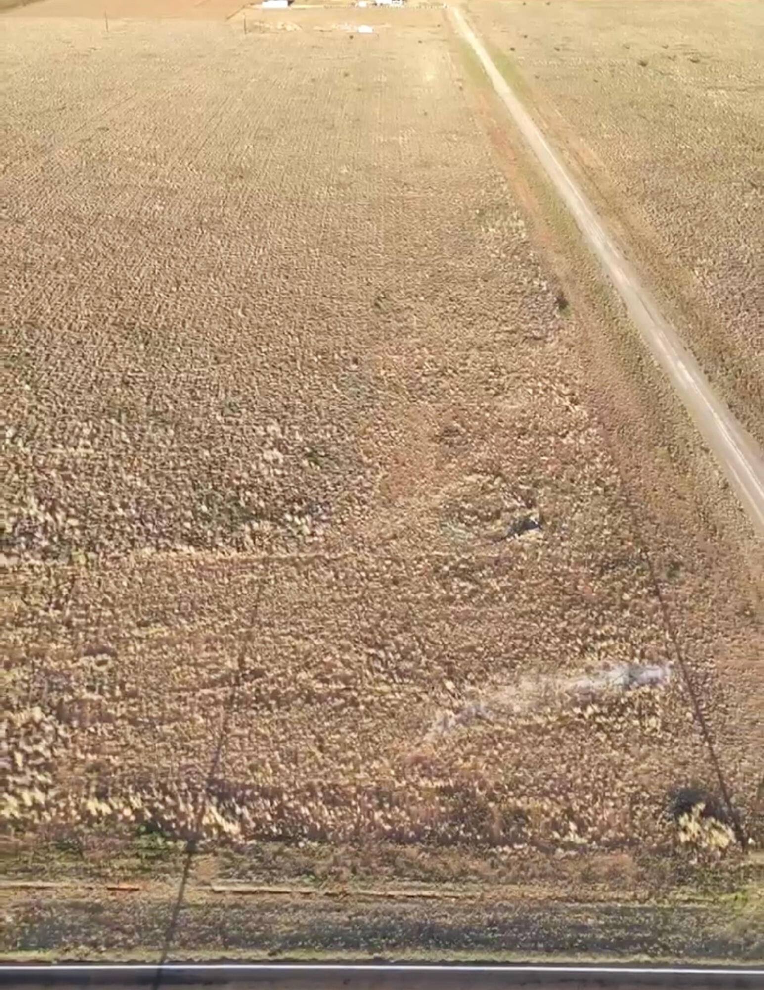 6425 Rockin T Road Ropesville, TX 79358 - Photo 2 of 6 2