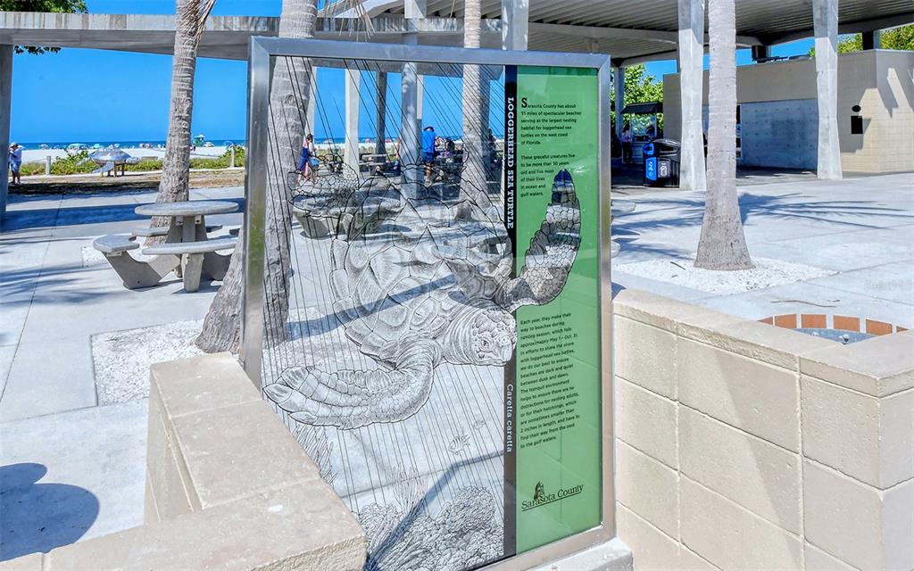 9034 Midnight Pass Road, Unit 6 Sarasota, FL 34242 - Photo 49 of 58 a living room with furniture