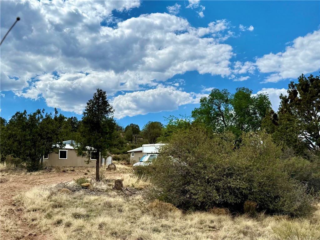 4001 Duffy Road Kingman, AZ 86401 - Photo 4 of 11 Yard