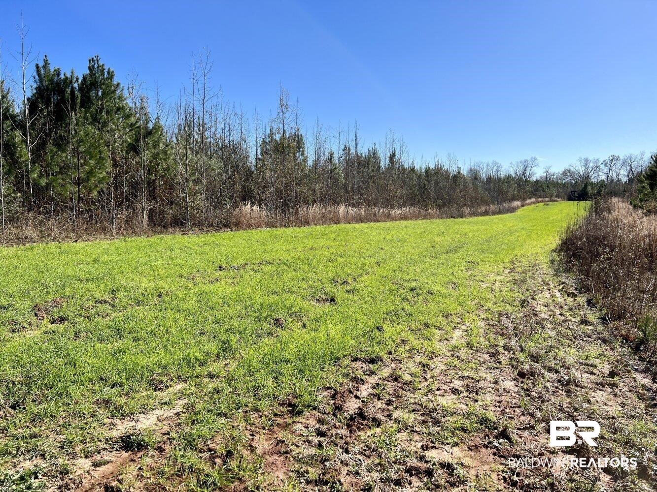 0 Highway 84 Evergreen, AL 36401 - Photo 37 of 50