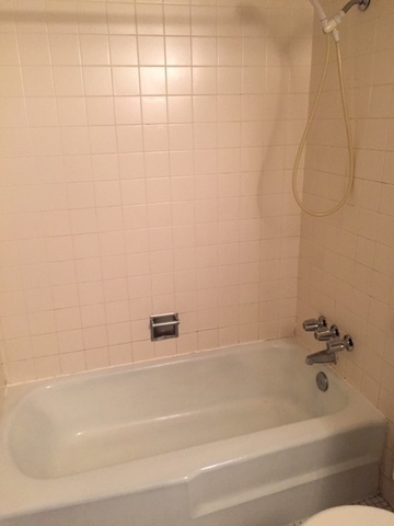 300 Roselle Road, Unit 419 Schaumburg, IL 60193 - Photo 10 of 11