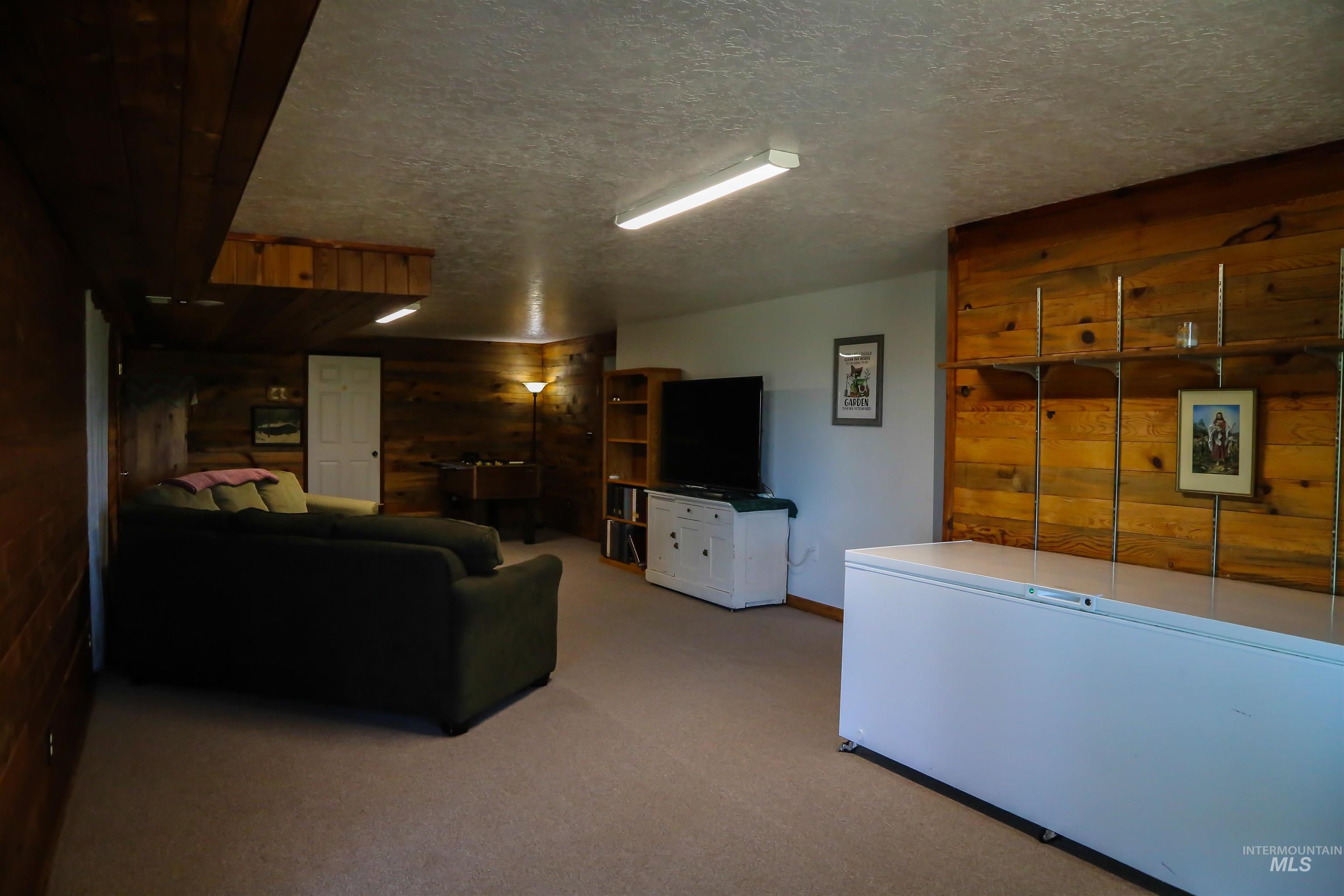 2060 Missman Road Council, ID 83612 - Photo 27 of 50 Living room with light colored carpet, wooden walls, and a textured ceiling