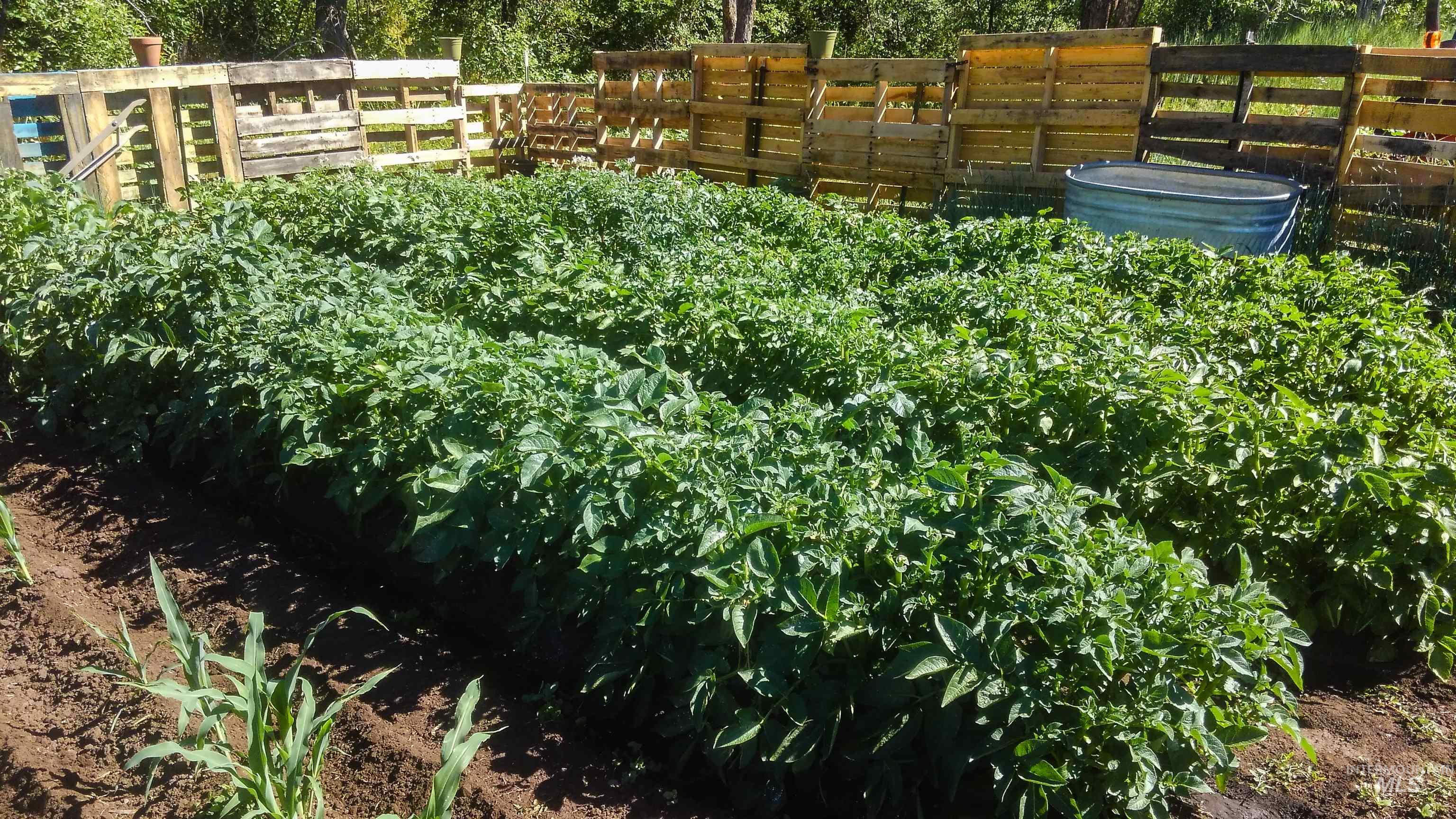 2060 Missman Road Council, ID 83612 - Photo 33 of 50 Garden area