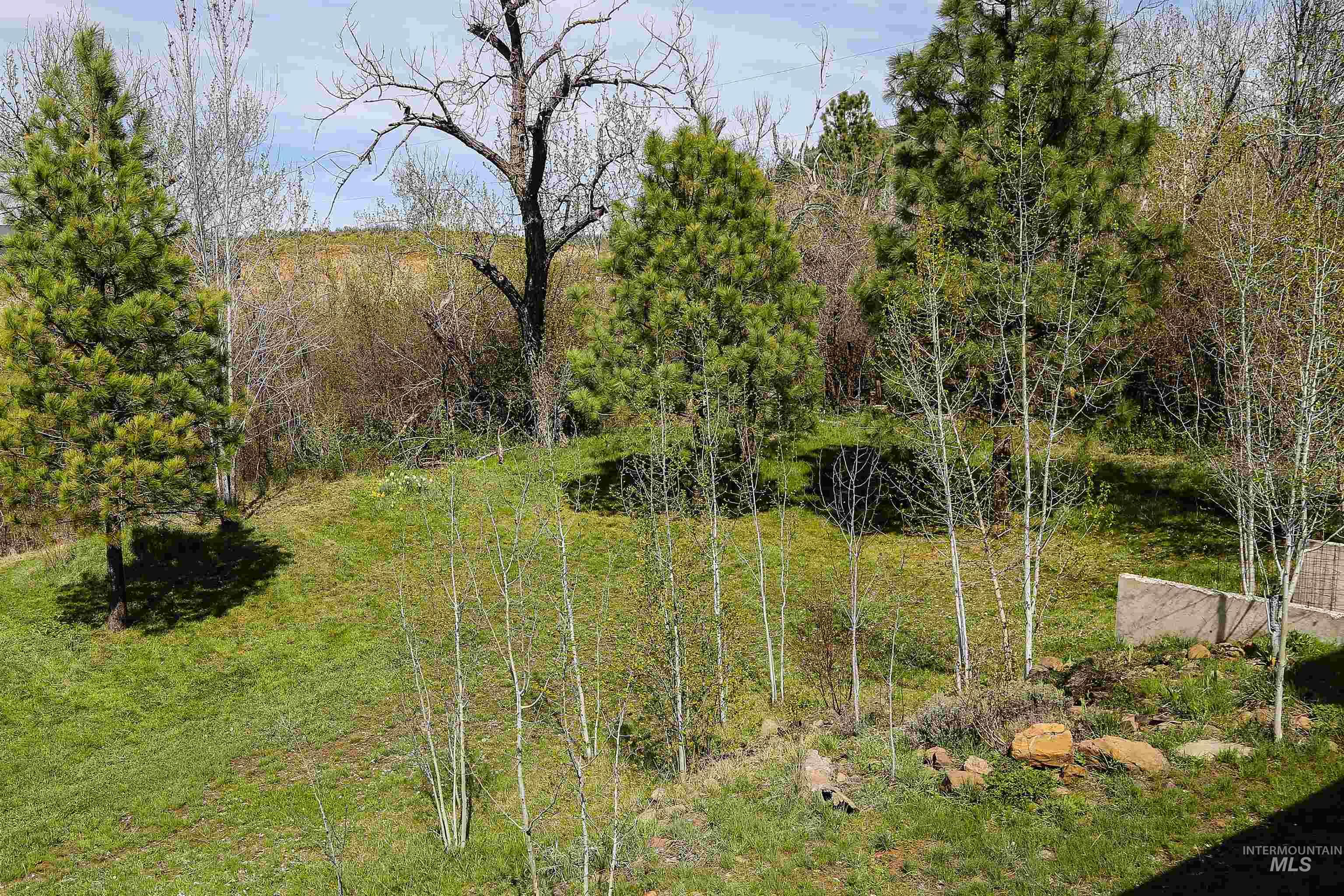 2060 Missman Road Council, ID 83612 - Photo 36 of 50 View of yard with a forest view