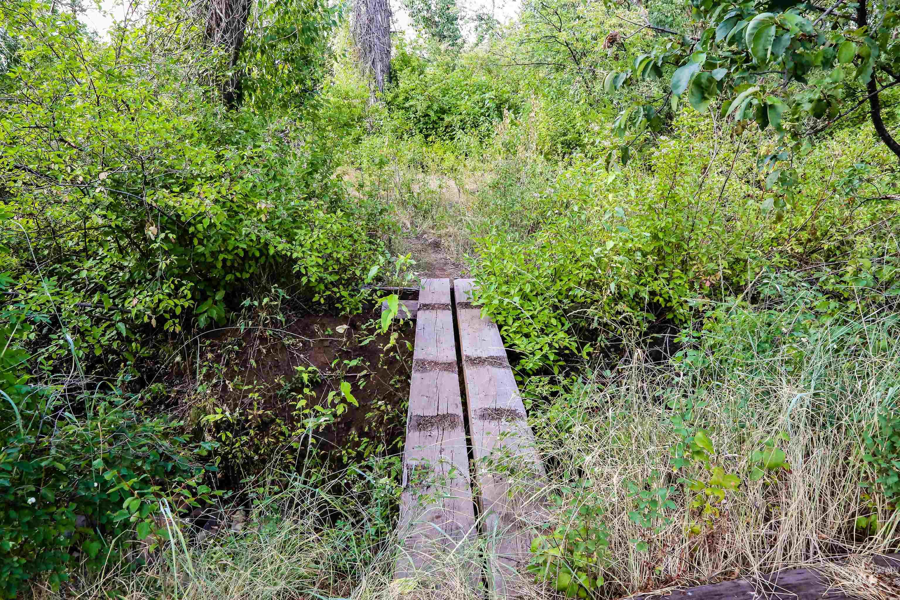 2060 Missman Road Council, ID 83612 - Photo 38 of 50 Bridge across the stream