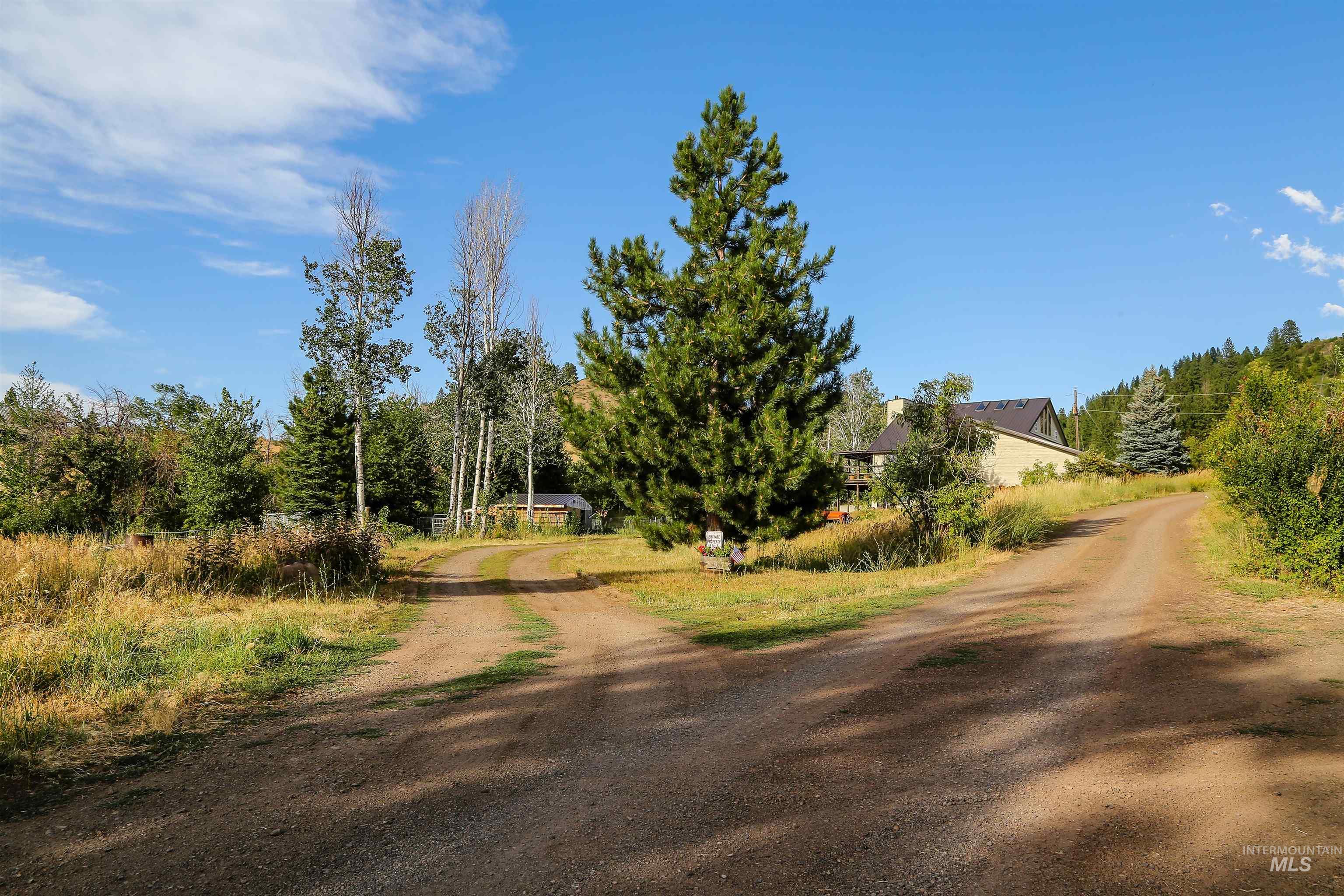 2060 Missman Road Council, ID 83612 - Photo 39 of 50 View of dirt / gravel driveway
