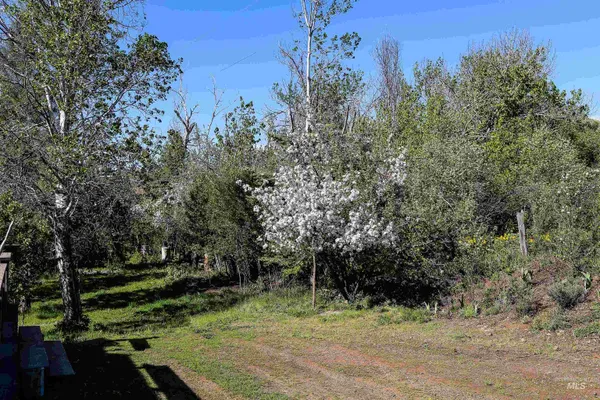 $715,000 | 2060 Missman Road, Council, ID 83612