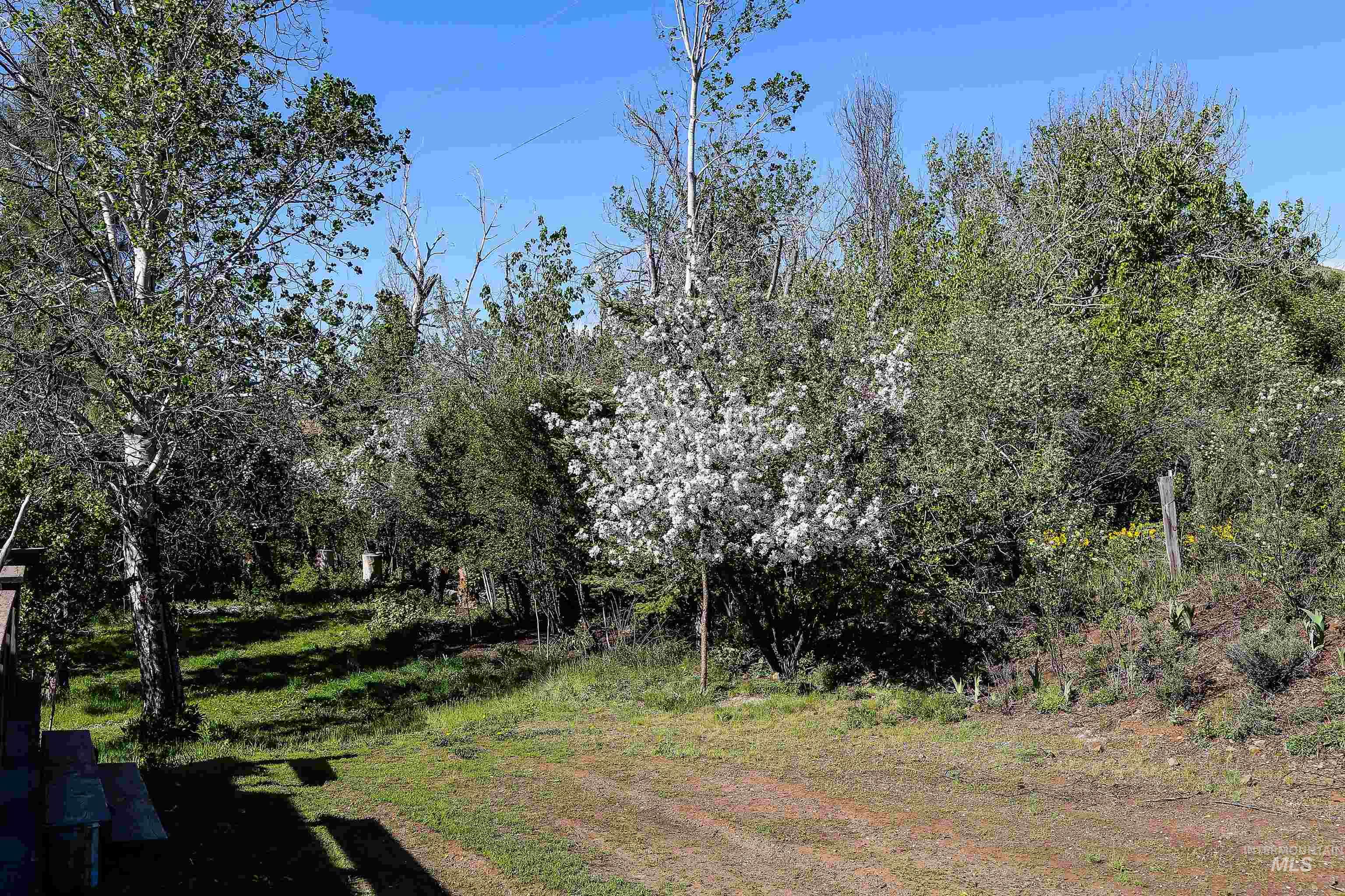 2060 Missman Road Council, ID 83612 - Photo 44 of 50 View of yard